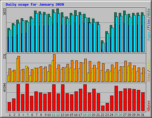 Daily usage for January 2020