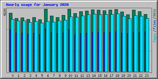 Hourly usage for January 2020