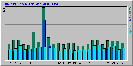 Hourly usage for January 2023
