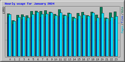 Hourly usage for January 2024